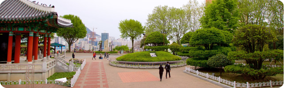 Foto de um parque  com a cidade ao fundo